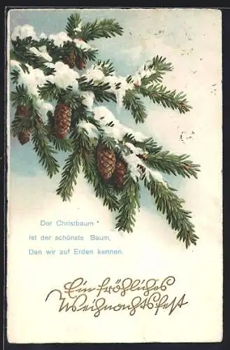 AK Weihnachtsgrüsse, Verschneiter Tannenzweig