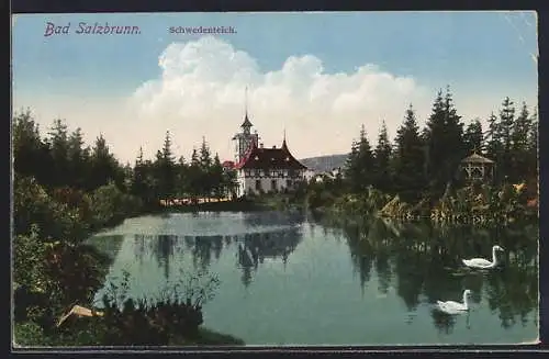 AK Bad Salzbrunn, Blick auf den Schwedenteich