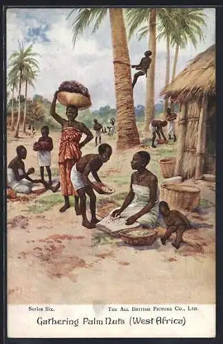 Künstler-AK West Africa, Gathering Palm Nuts, Landwirtschaft