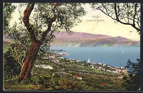 AK Salò /Lago di Garda, Veduta generale