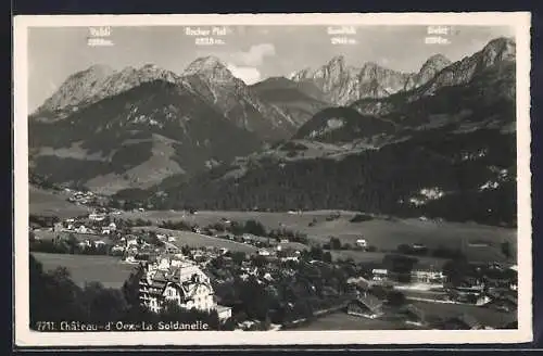 AK Château-d`Oex, La Soldanelle, Panorama mit Gumfluh, Rocher Plat und Biolet