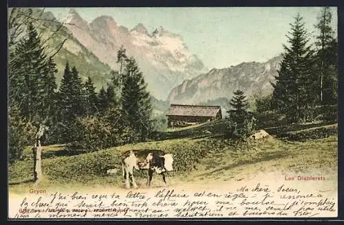 AK Gryon, Les Diablerets