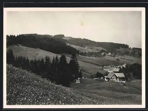 AK Wolfhalden /Kt. Appenzell, Teilansicht mit Bäumen