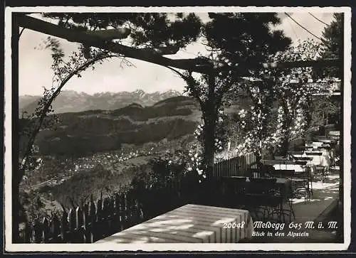 AK Walzenhausen, Gasthaus Meldegg, Blick in den Alpstein