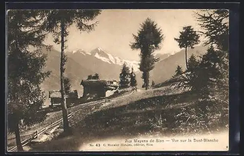 AK Mayens de Sion, Vue sur la Dent-Blanche