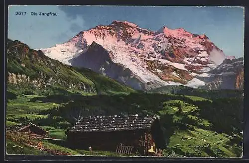 AK Jungfrau, Panorama mit Holzhäusern