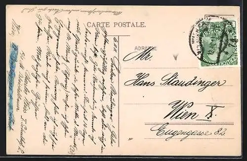 AK Lausanne, Panorama