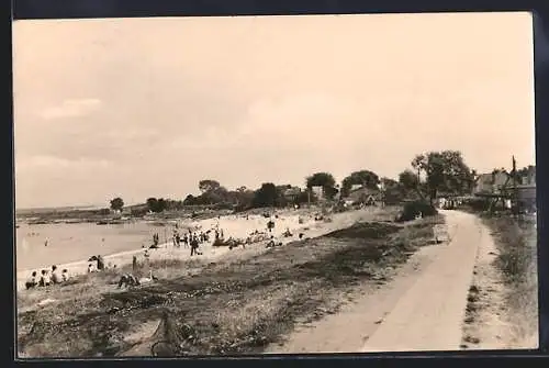 AK Glowe /Rügen, Blick auf den Fischerhafen