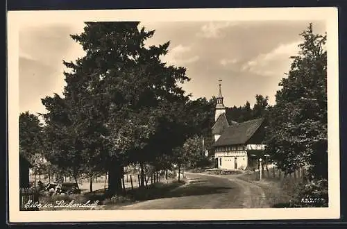 AK Lückendorf, Eibe in Lückendorf