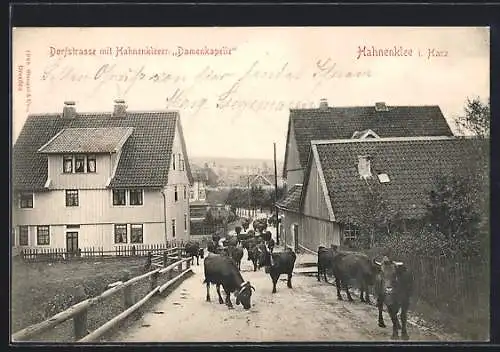 AK Hahnenklee i. Harz, Blick auf die Dorfstrasse