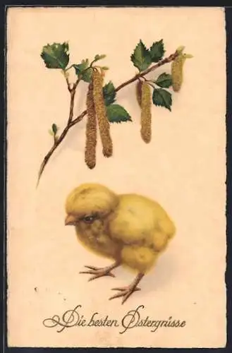 AK Die besten Ostergrüsse, Osterküken mit Zweig
