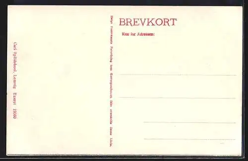 AK Lemvig, Ortsansicht aus der Vogelschau