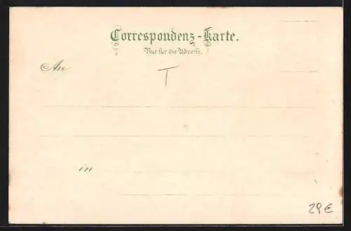 Lithographie Hall /Tyrol, Rathaus, Kirche und Totalansicht