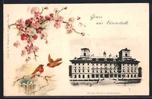 AK Eisenstadt, Fürstl. Schloss Eszterhazy, Rotkehlchen und Kirschblüten