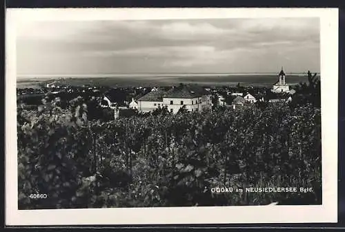 AK Oggau am Neusiedlersee, Ortsansicht aus der Vogelschau