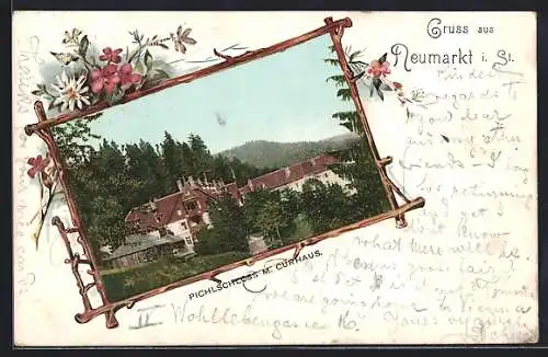 AK Neumarkt i. St., Pichlschloss mit Kurhaus, Passepartout