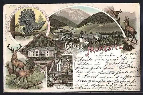 Lithographie Mürzsteg, Kaiserl. Jagdschloss, Ortsansicht, Auerhahn