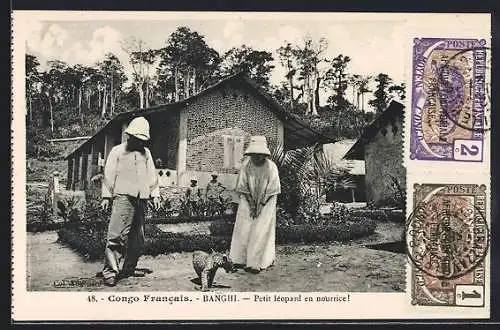 AK Banghi, Petit léopard en nourrice