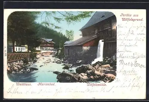 AK Wölfelsgrund, Flusspartie mit Waldhaus, Marienbad und Wölfelsmühle