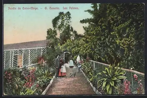 AK Las Palmas /Gran Canaria, Jardin de Corve-Moya