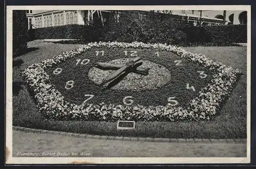 AK Baden bei Wien, Blick auf die Blumenuhr