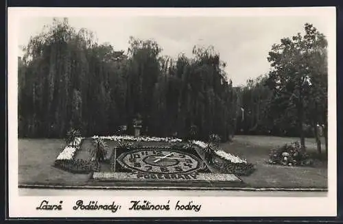 AK Bad Podiebrad / Podebrady, Kvatinove hodiny, Blumen-Uhr