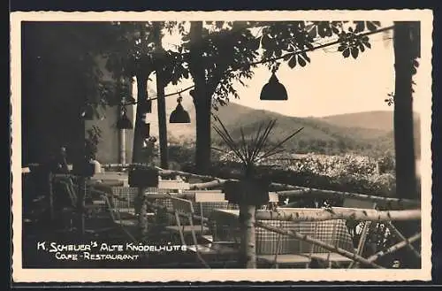 AK Wien, K. Scheuer`s Cafe-Restaurant Zur alten Knödelhütte