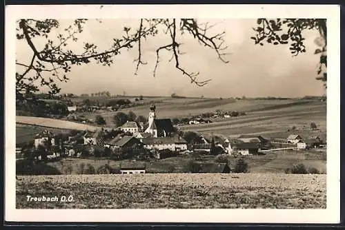 AK Treubach /O.-Ö., Gesamtansicht mit Umgebung von einem Feld aus