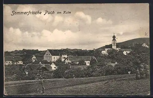 AK Puch an der Kulm, Ortspanorama mit Feldern und Kirche