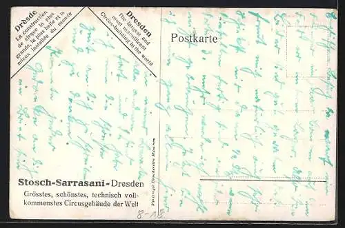 AK Dresden-Neustadt, Stosch-Sarrasani, prachtvolles Zirkusgebäude in der Stadt
