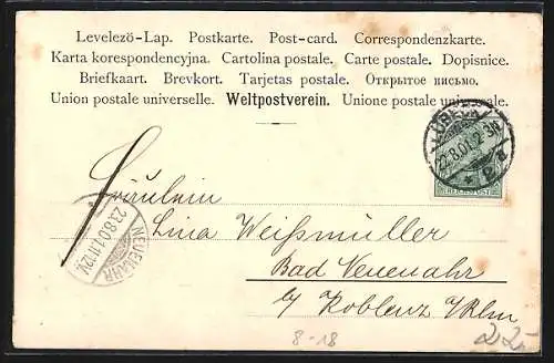 AK Circus Barnum & Bailey, Musikwagen und Reitdamen