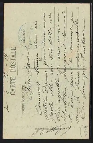 AK Thaon-les-Vosges, Madame Delait en promenade, Bärtige Dame