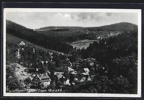 AK Kipsdorf /Erzgeb., Teilansicht mit Bäumen