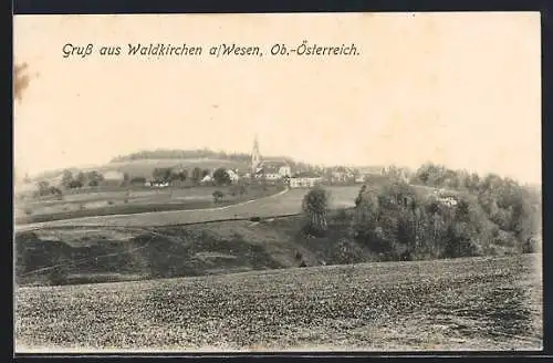 AK Waldkirchen /Wesen, Blick über Felder auf den Ort