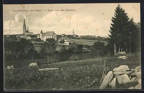 AK Leonfelden, Blick von der Brandlau