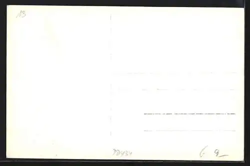 AK Reichenau i. Mühlkreis, Ortsansicht mit Blick auf die Kirche