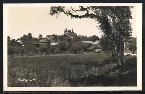 AK Walding, Strasse am Ortsrand