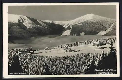 AK Bohnwiesbauden im Riesengebirge