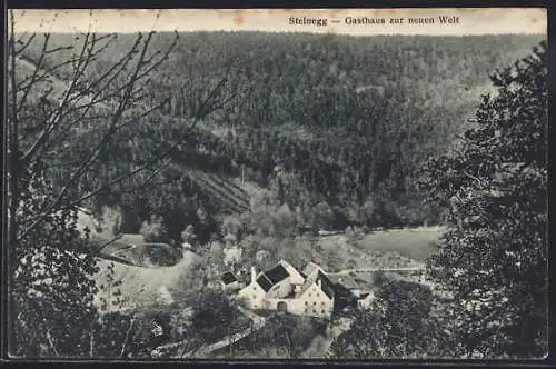 AK Altenburg /N.-Oe., Steinegg, Gasthaus Neue Welt