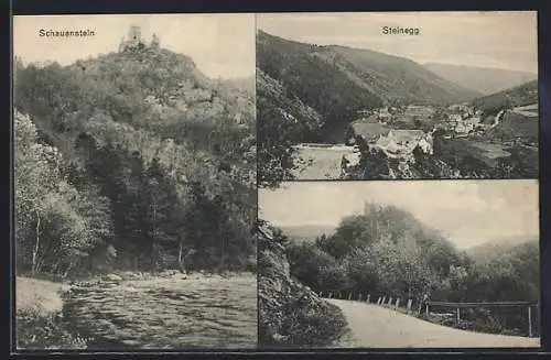 AK Altenburg /N.-Oe., Steinegg, Ortsansicht, Weg zum Ort und Schauenstein