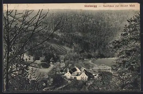 AK Altenburg /N.-Oe., Steinegg, Gasthaus zur neuen Welt