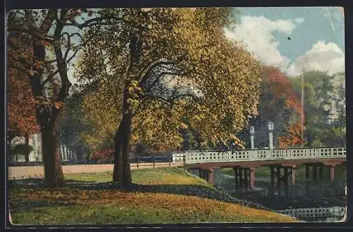 AK Oldenburg / O., Herbststimmung am Wall