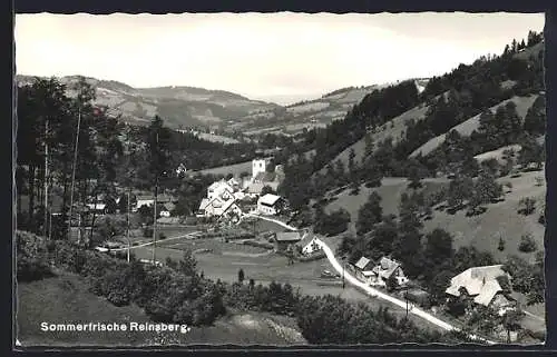 AK Reinsberg, Ortsansicht mit Umgebung
