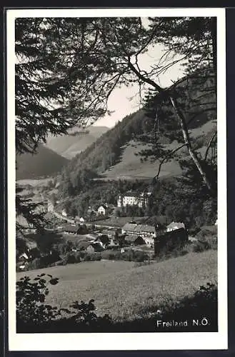 AK Türnitz /N. Ö., Freiland von einer Anhöhe auf den Ort