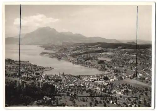 Fotografie unbekannter Fotograf, Ansicht Küssnacht am Rigi, Fliegeraufnahme des Ortes