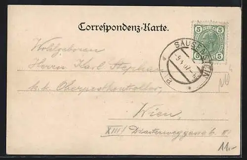 AK Säusenstein, Gasthaus von J. Holtz, Wahlfahrt M. Steinbründl