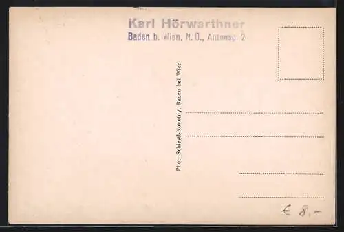 AK Baden, K. Suckfüll`s Kur-Etablissement & Pension, Grand-Hotel Grüner Baum, Schloss-Hotel Bellevue