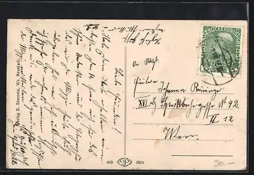 AK Wr. Neustadt, Totalansicht mit Strasse und Flugzeug aus der Vogelschau