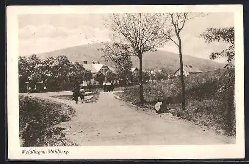 AK Weidlingau-Mühlberg, Strassenpartie mit Gasthaus Josef Mühlndorfers Winzerhaus und Bergblick