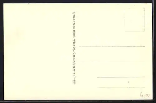 AK Winzendorf a. d. Schneebergbahn, Generalansicht des Ortes